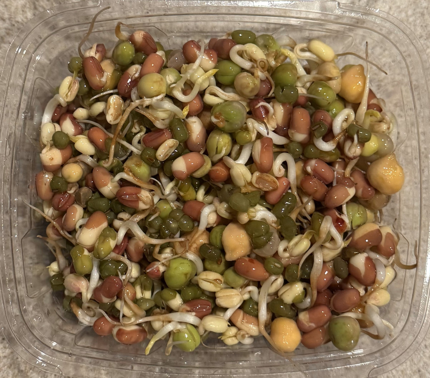 Protein Powerhouse Mix - Sprouts