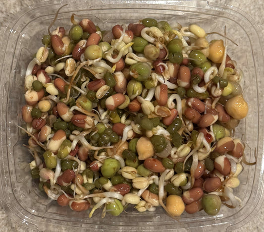 Protein Powerhouse Mix - Sprouts